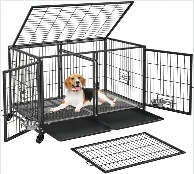 Large single dog or two small/Med dog cage 