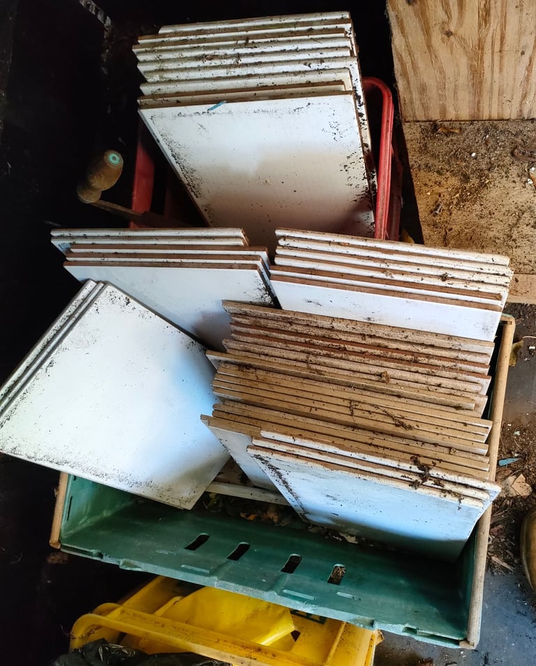 Free assorted ceramic tiles 