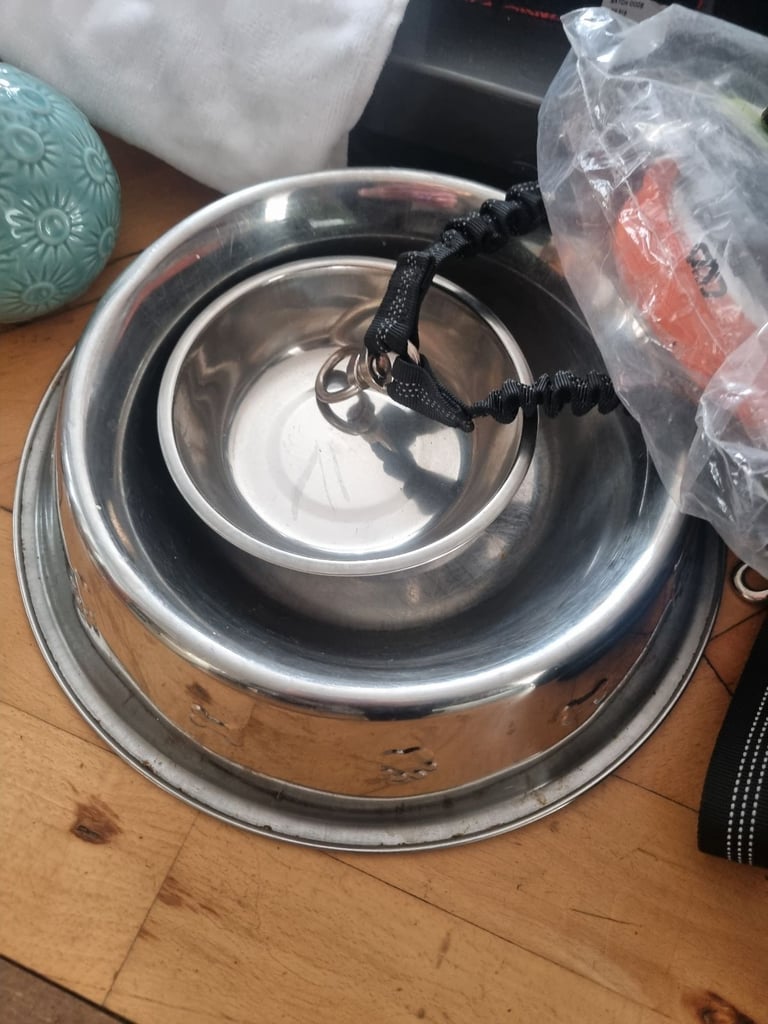 Silver stainless steel dog bowls free!