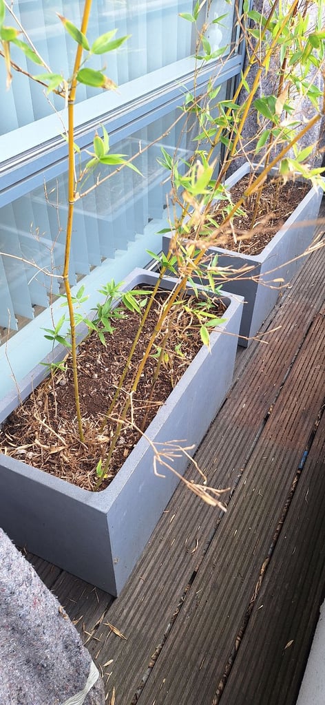 image for Concrete planters (37cm x 37cm x 80cm) Set of 3 pots