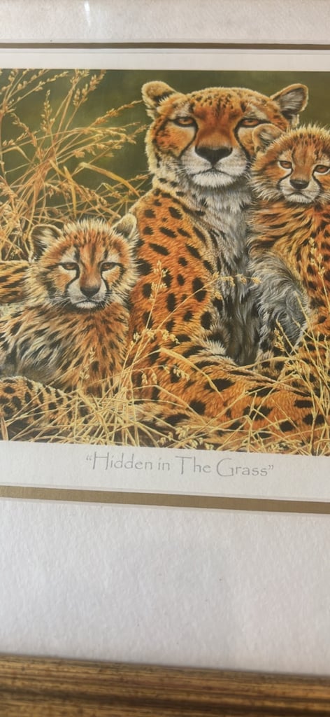 image for Suzie Emery Hidden in the Grass signed print 