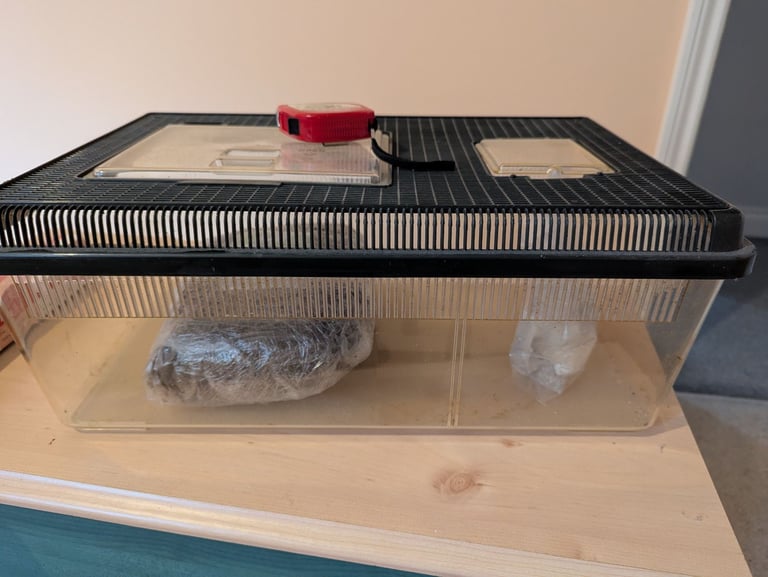 Land snails enclosure and substrate