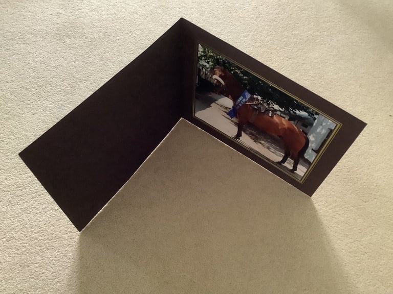 Early 1980’s photograph of Red Rum race horse - 3 times Grand National winner 10x8” in sleeve