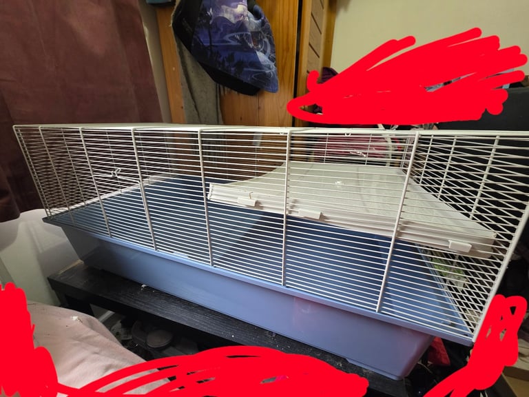 Hamster Starter Kit