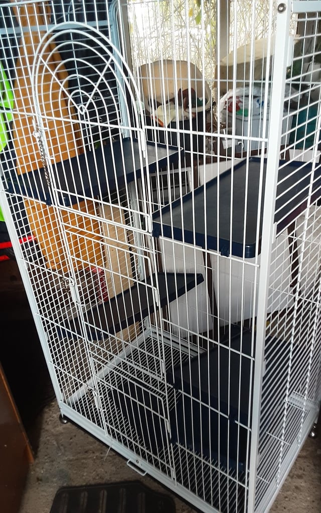 For sale a used cage 