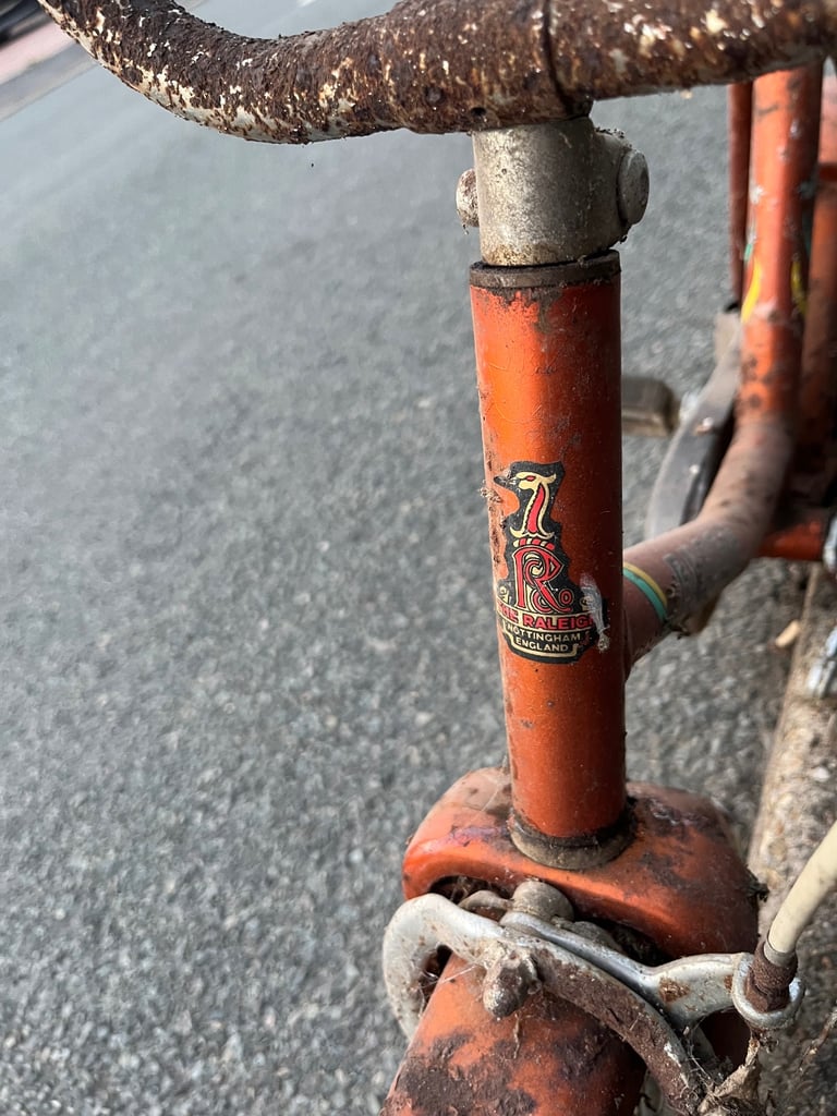 Raleigh budgie and more