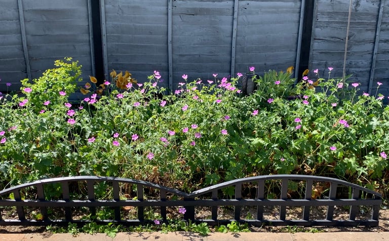 Double arch 7 feet long wooden garden trellis – 5 available - slate grey - £12 each, £50 the lot