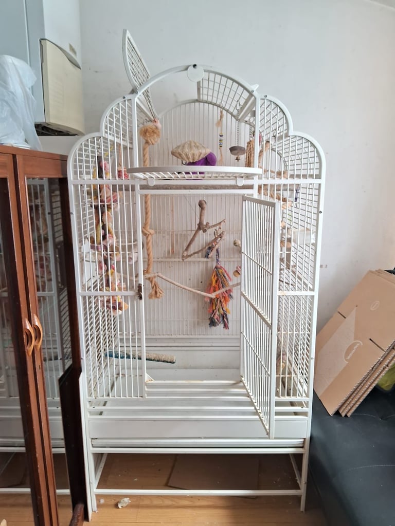 Extra large bird cage (5feet high and 2.5feet wide)