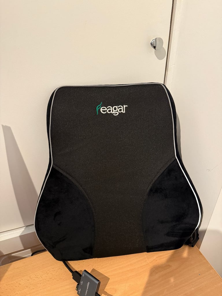 image for Feagar Lumbar Back Support Cushion