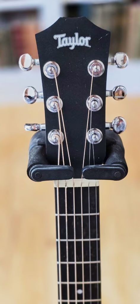 Taylor BT2 guitar with gig-bag in lovely condition with rich sound.