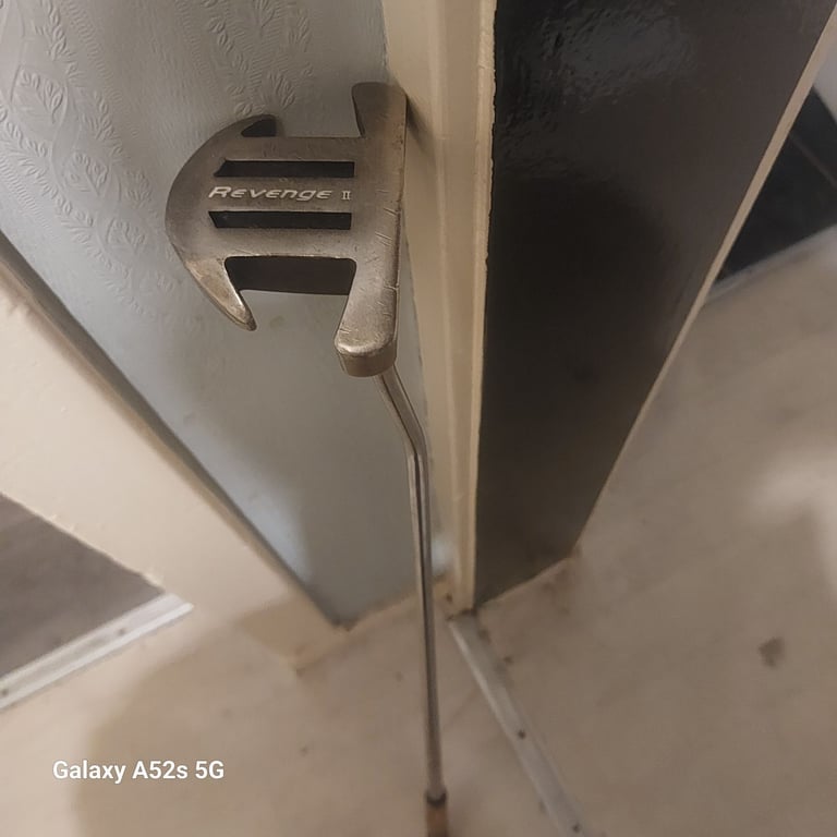 Pro putter