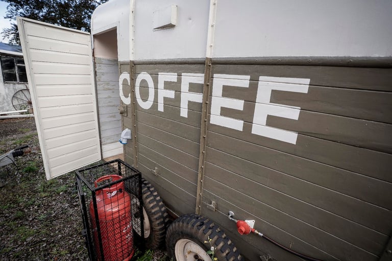Horse Box Coffee Trailer For Sale