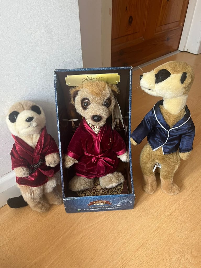 Meerkats