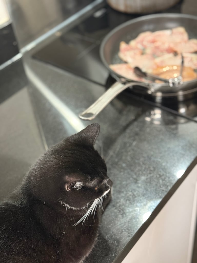 Kitten (Smudge) 6 Months old British short hair cross 