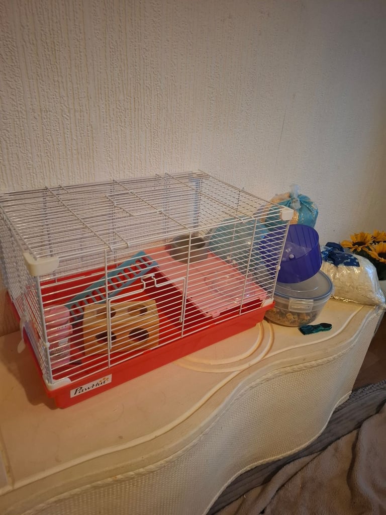 Dwarf hamster cage 