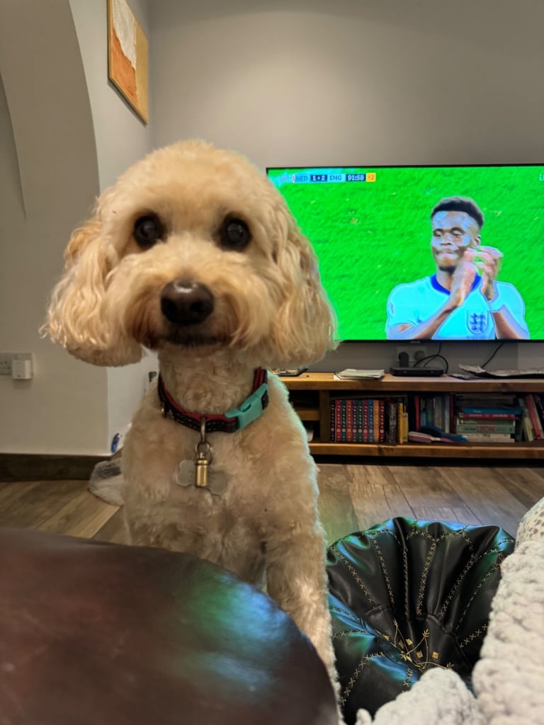 Samsung 65 inch 4K UHD LED Smart TV ( includes wall bracket but no stand)