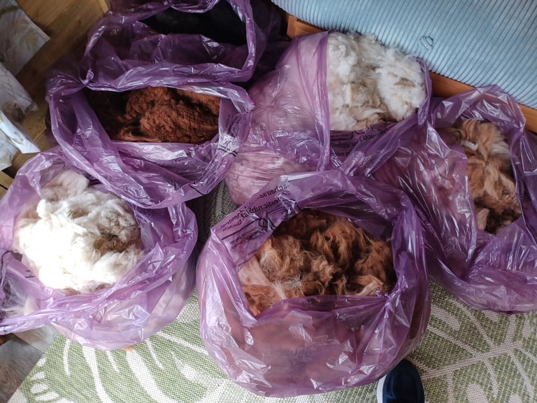 Alpaca fleeces, various colours available