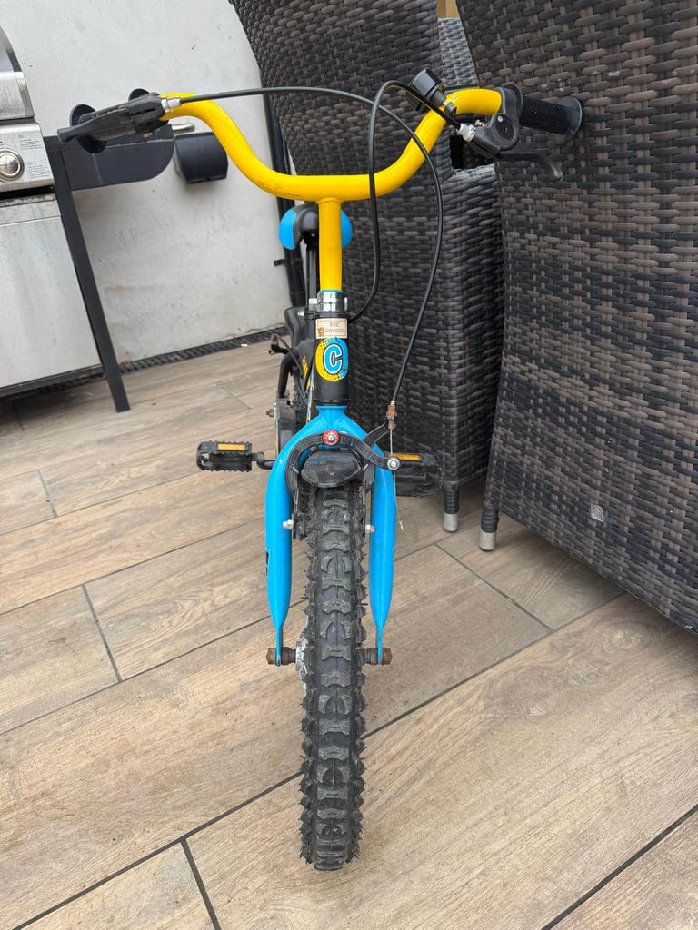 Boys Champion 16 inch wheel bike