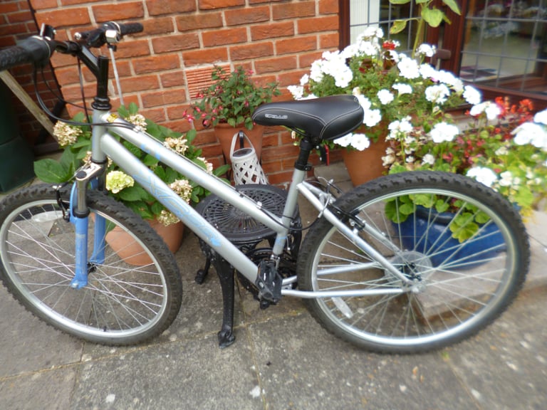 Ladies bikes hot sale on gumtree