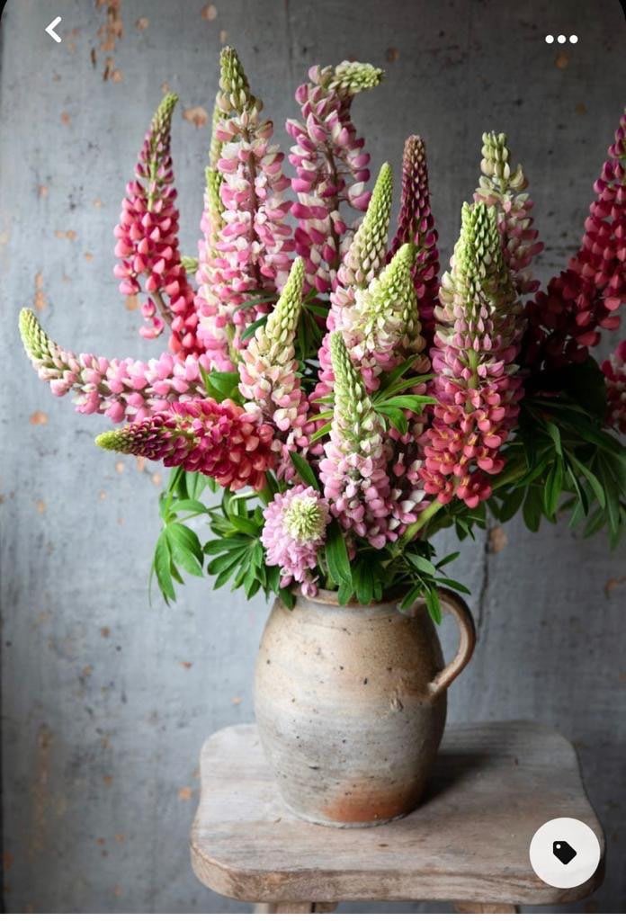 Full Body Swedish Massage In Orpington (High St)