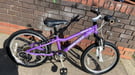 Child bike pro cycle bike 20 inch