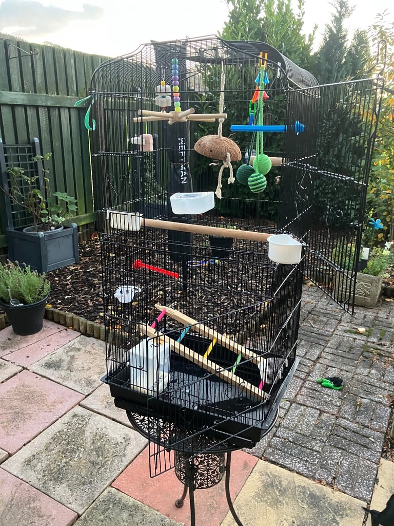 Tall cage/bird stand 
