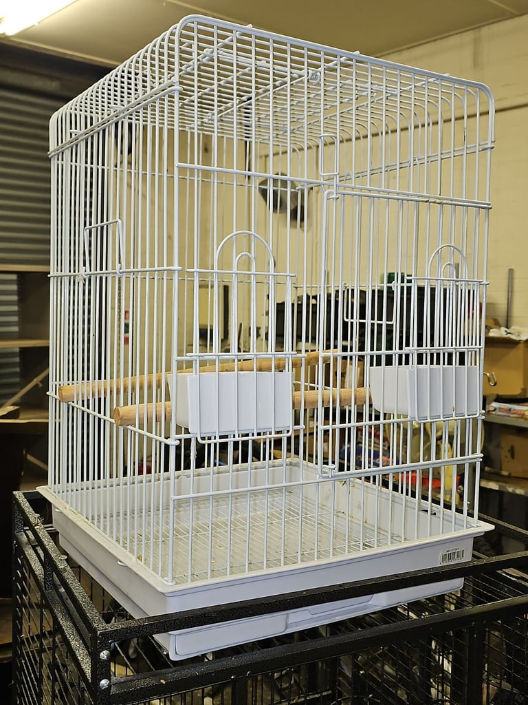 Small medium and large bird cages