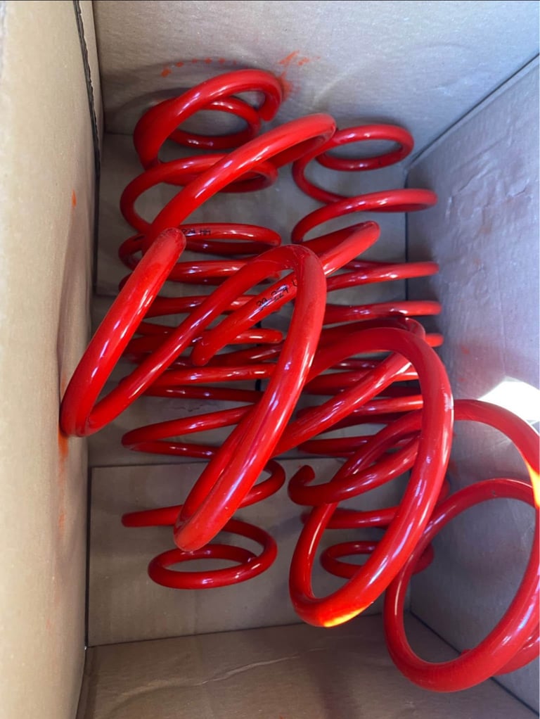 Fiesta mk6 lowering springs 