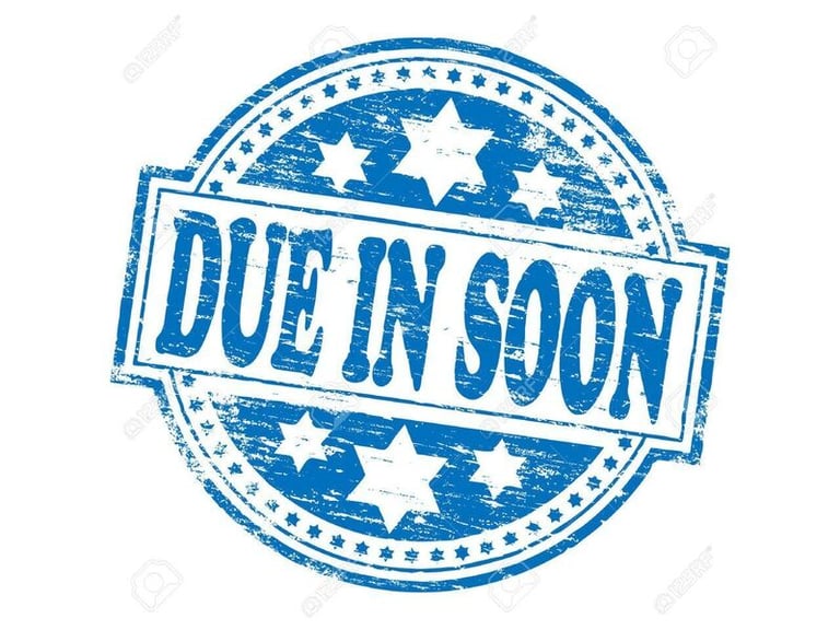 2020 Ford Transit T350 Leader EcoBlue L2 TRW Tipper Diesel Manual