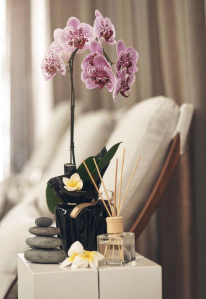 Holistic massage therapist near Victoria park