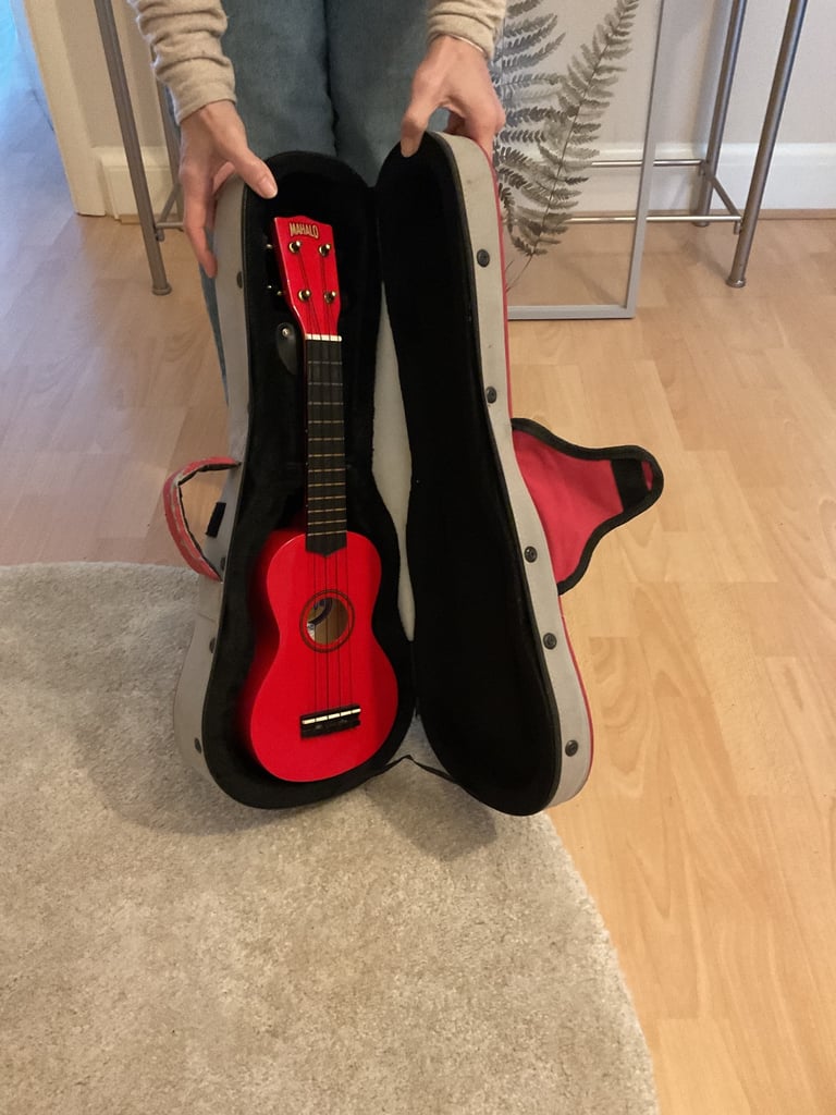 Ukulele and case