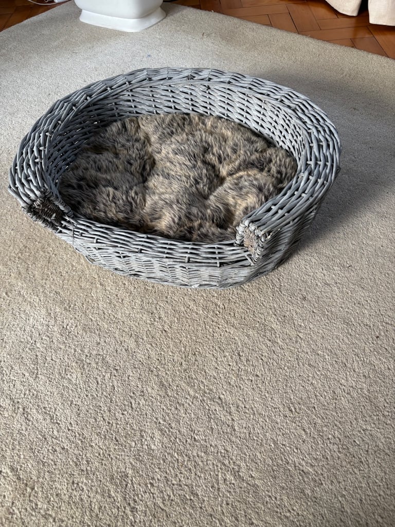 Cat Basket NEW