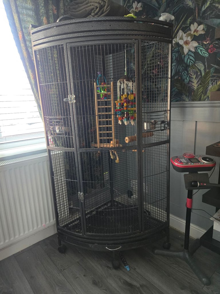 Large corner bird/parrot cage