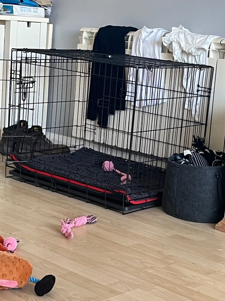 Dog cage for sale 