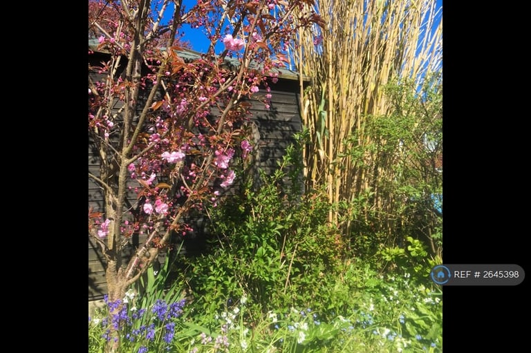 5 bedroom house in Quarry Road, Hastings, TN34 (5 bed) (#2645398)