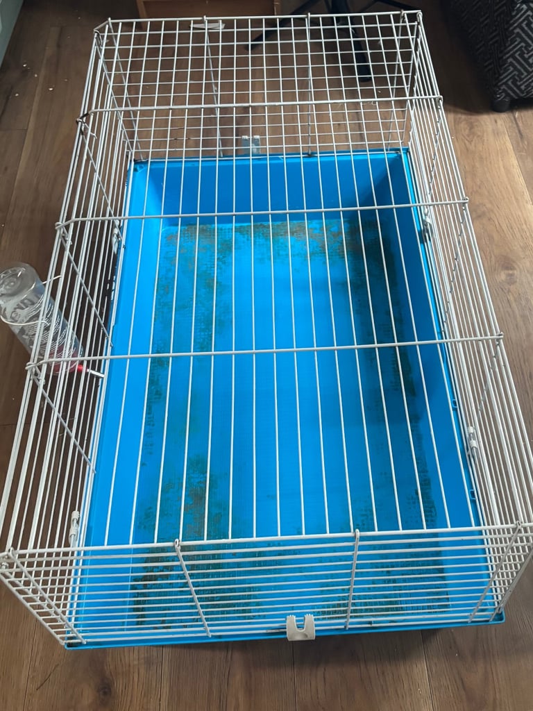 Rabbit or guinea pig cage