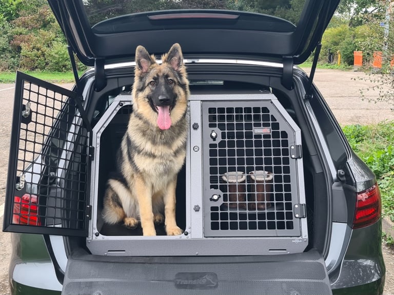 TransK9 C2 Car Dog Crate Cage Box - crash tested. For Aud A4 etc. 