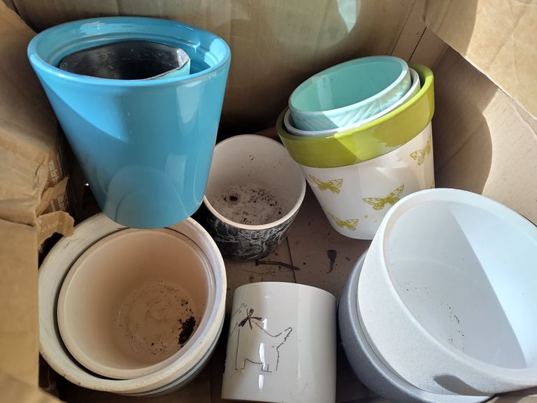 image for House plant pots