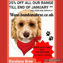 Sale offer dog bandanas