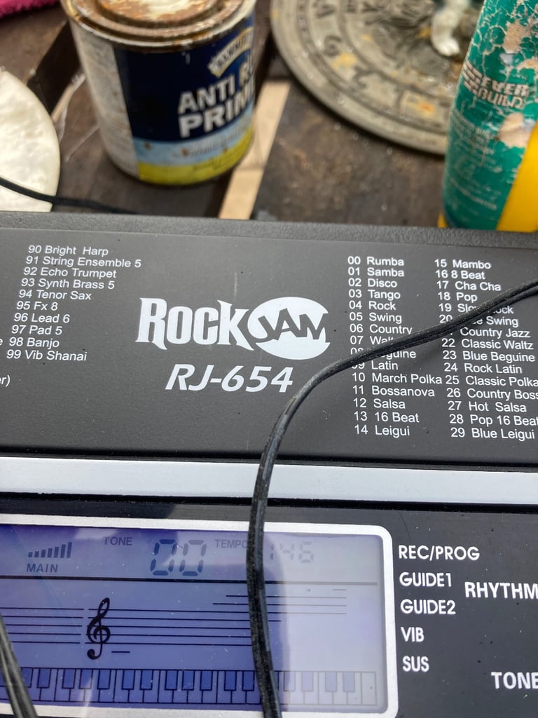 🔥Electric Organ🔥