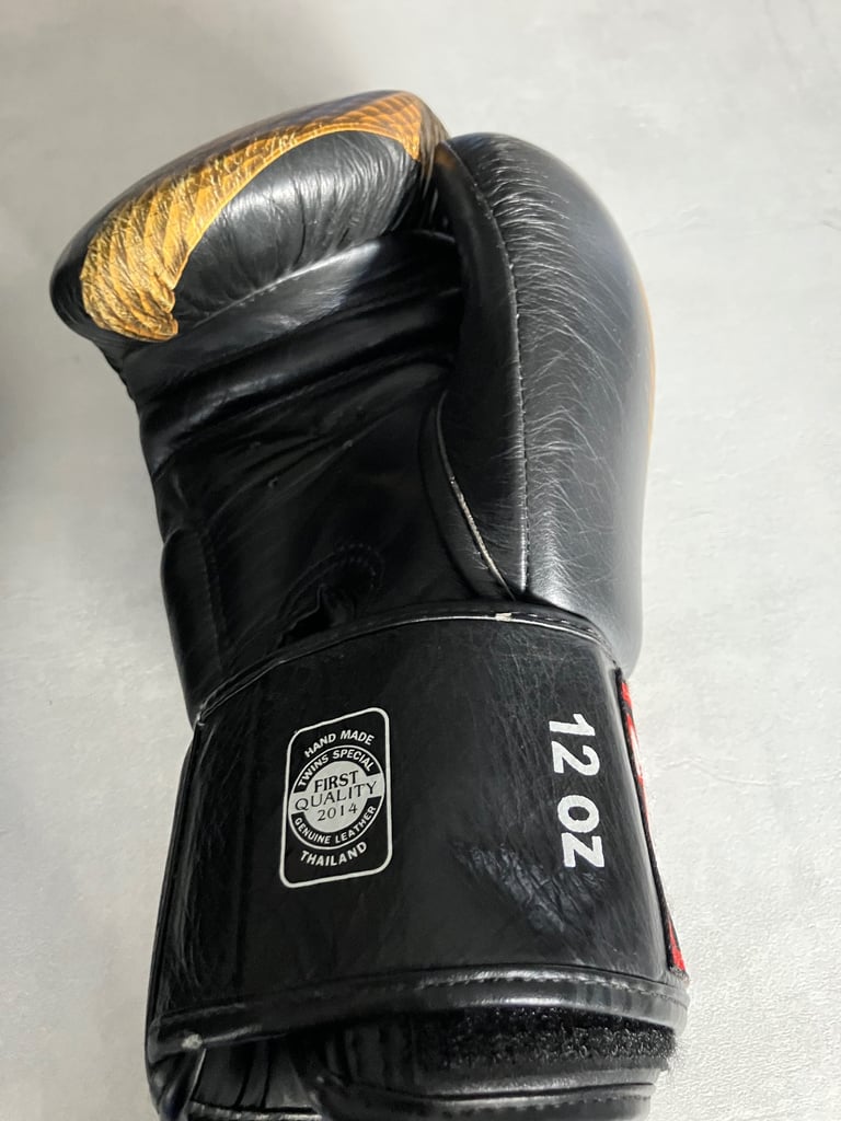 Twins special 12oz boxing gloves 