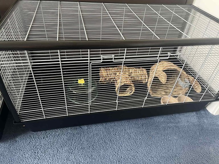 Month old big savic 100cm hamster cage only cage no extra was 80 no offer 