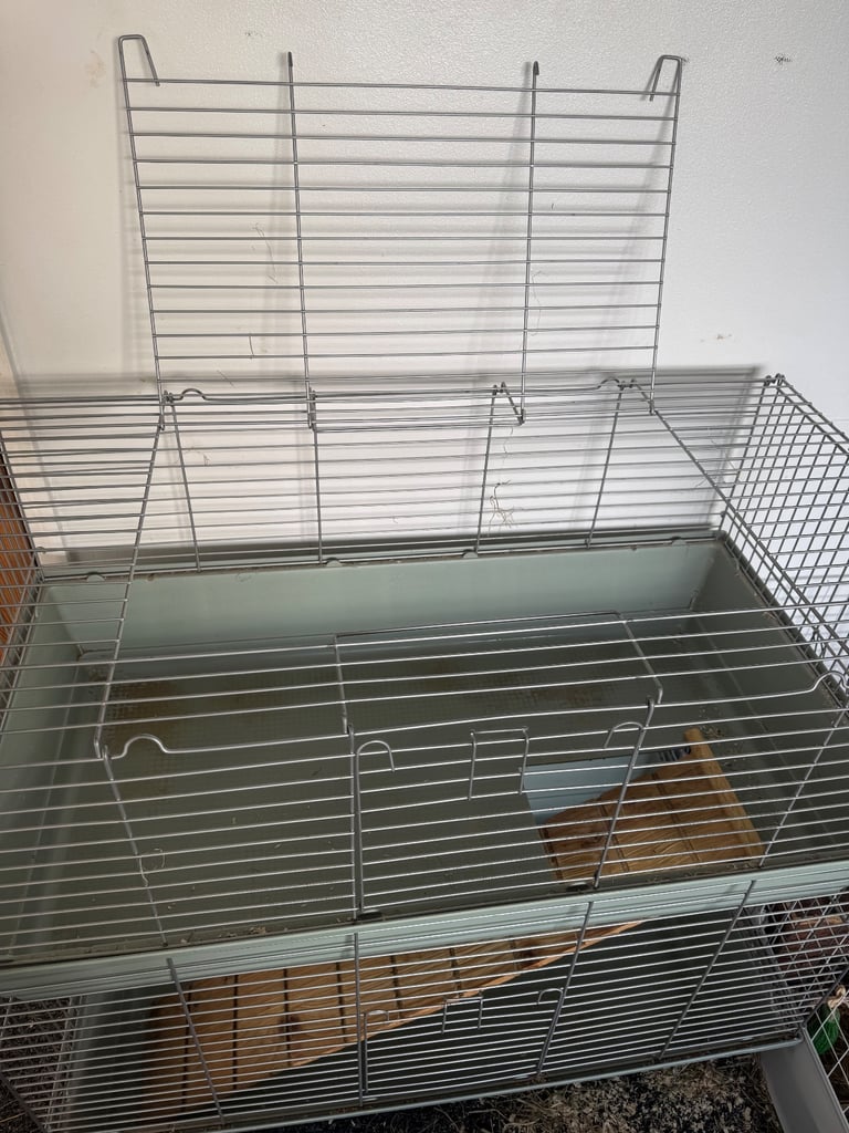Rabbits cage with ramp 