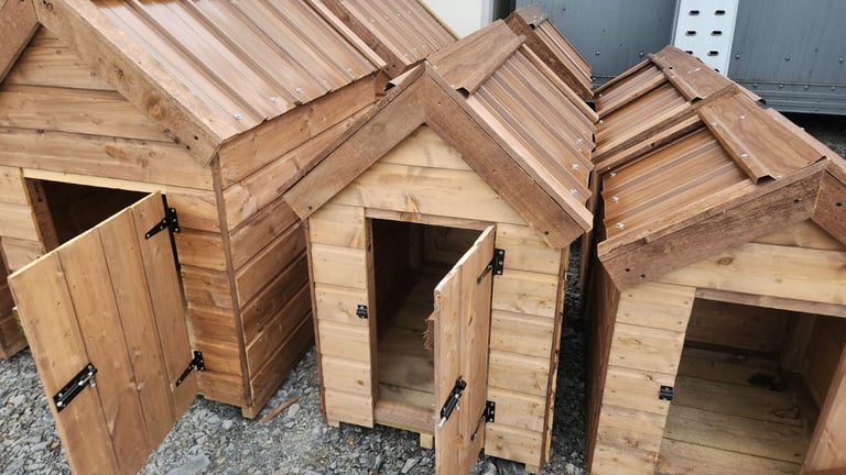 Timber dog kennels with tin roof 