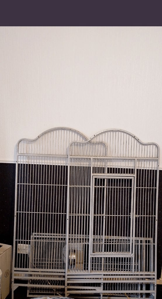 Bird cage 