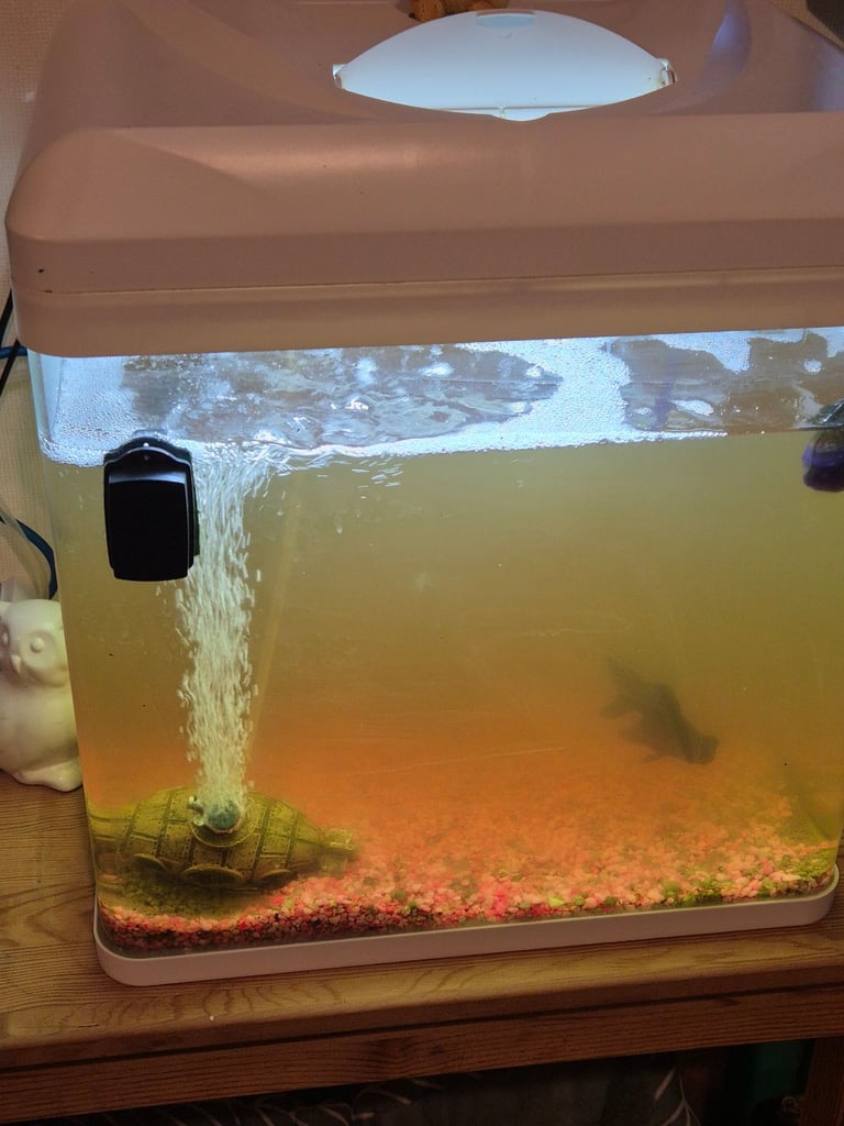 Fish tank 