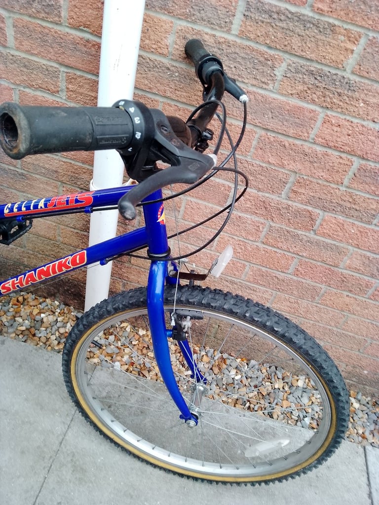 Ladies Delta Jets Shaniko All Terrain Mountain Bike Bicycle