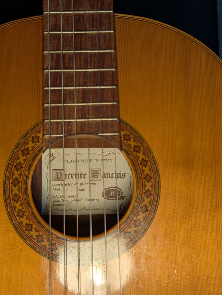 Classical guitar with case