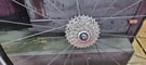 Bike wheels Shimano wh-r550 wheels 