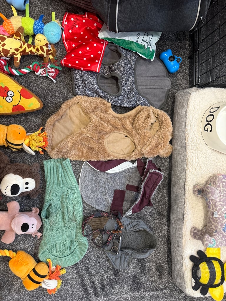 Small dog Accessories bundle